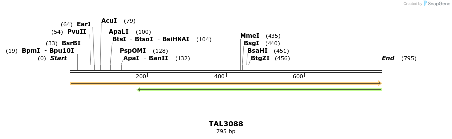 63395_map