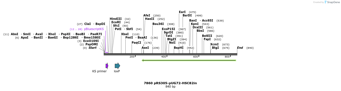 63400_map