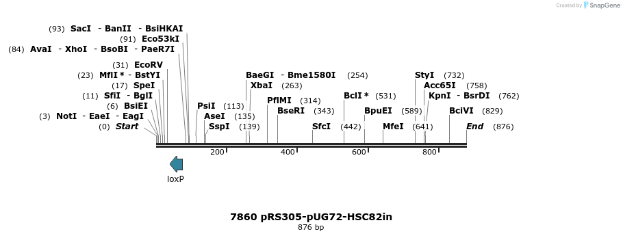 63401_map
