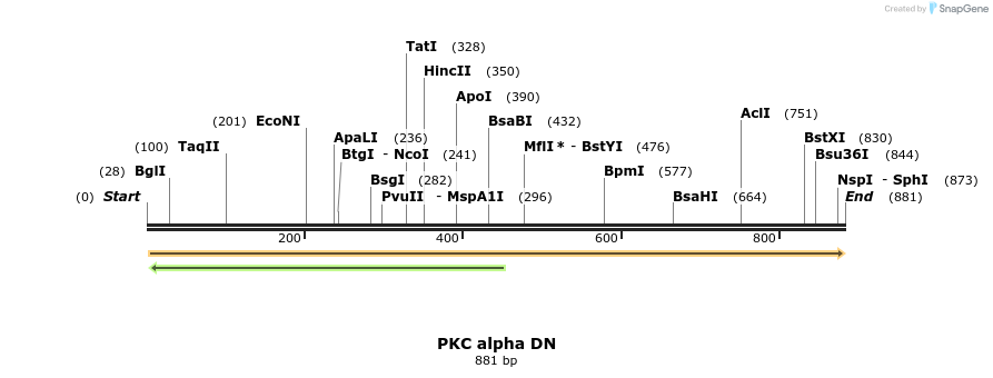 63403_map