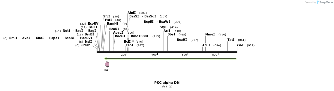 63405_map