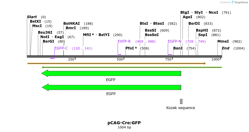 63408_map