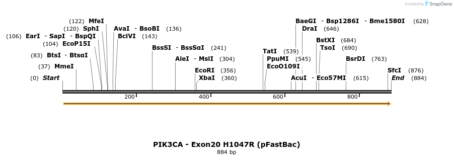 63410_map