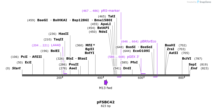63411_map