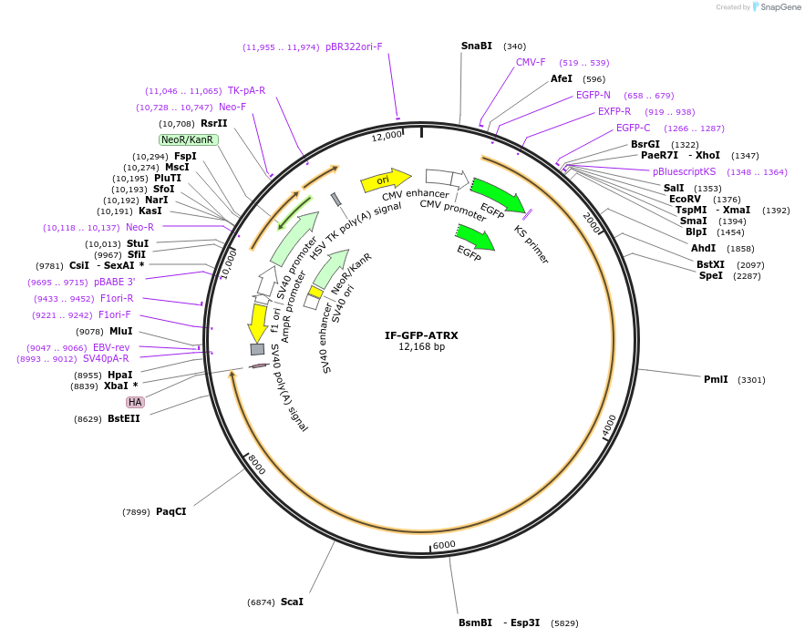 63420_map