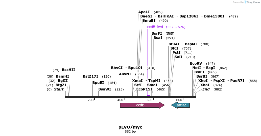 63423_map