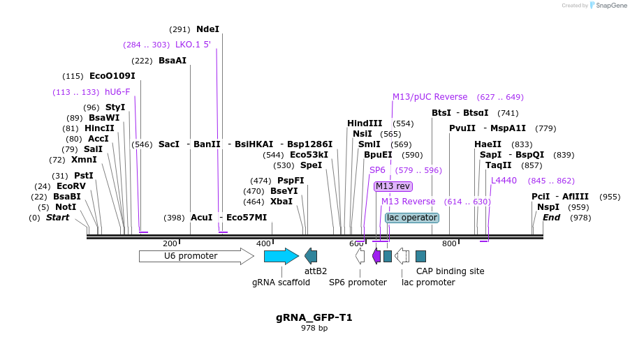 63426_map