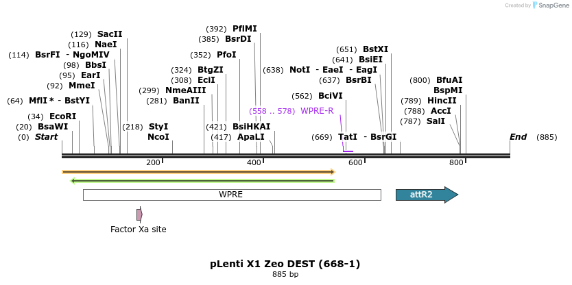 63431_map