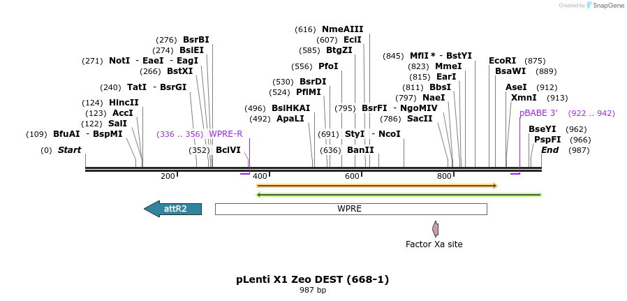 63432_map