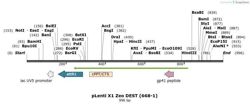 63433_map