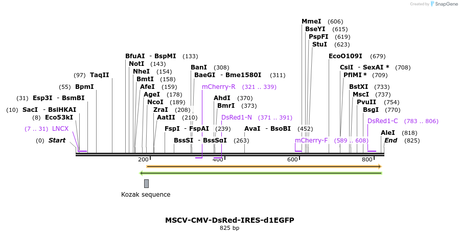 63435_map