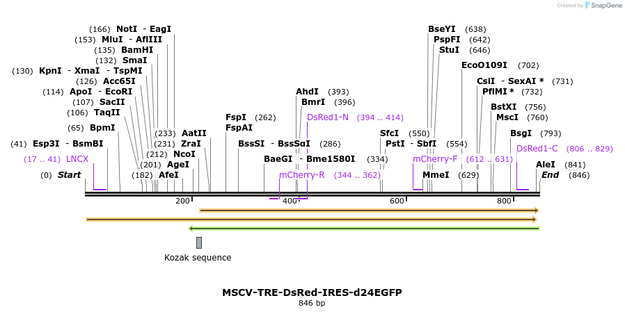 63438_map