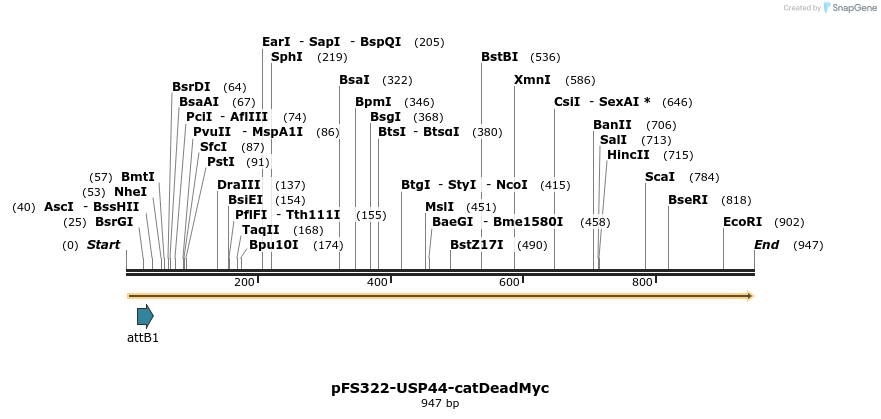 63442_map