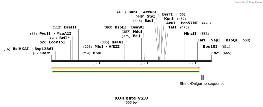 63446_map