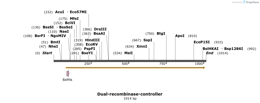 63451_map