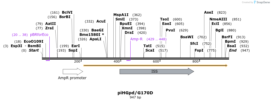 63459_map