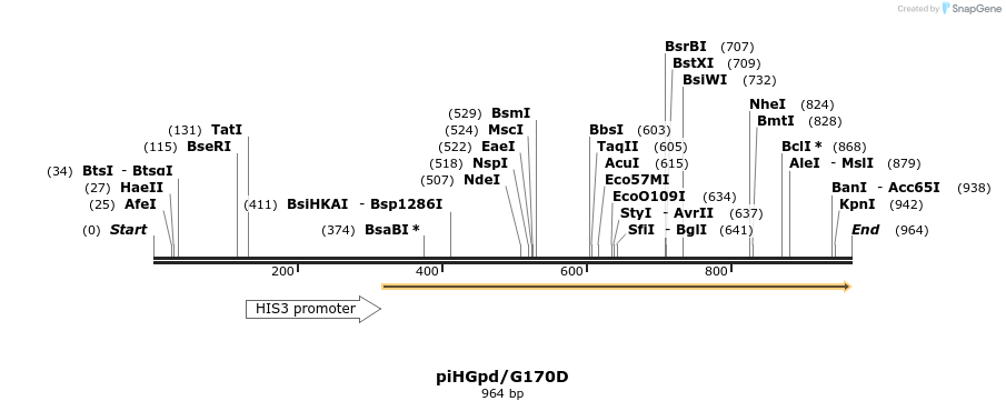 63462_map
