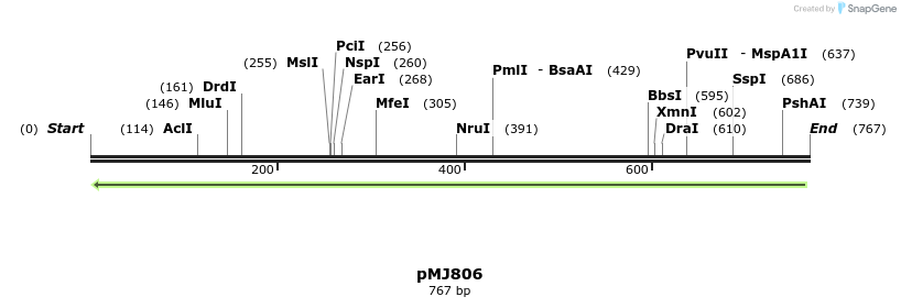 63464_map