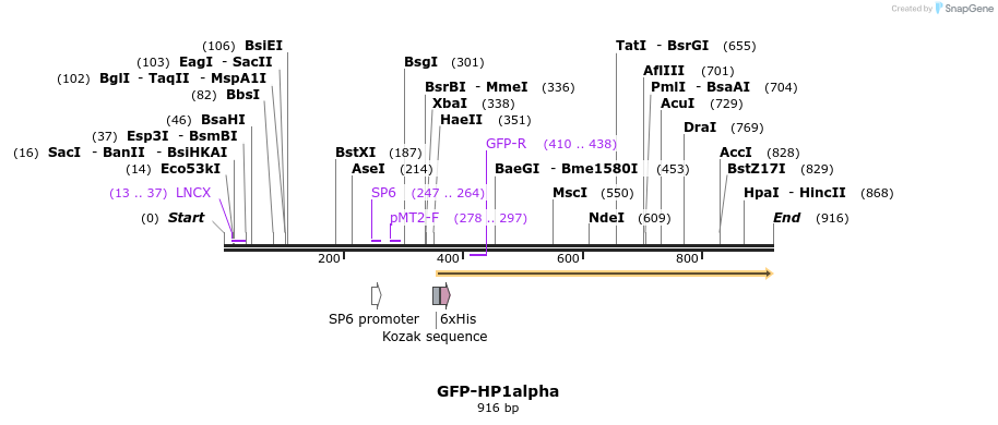 63469_map
