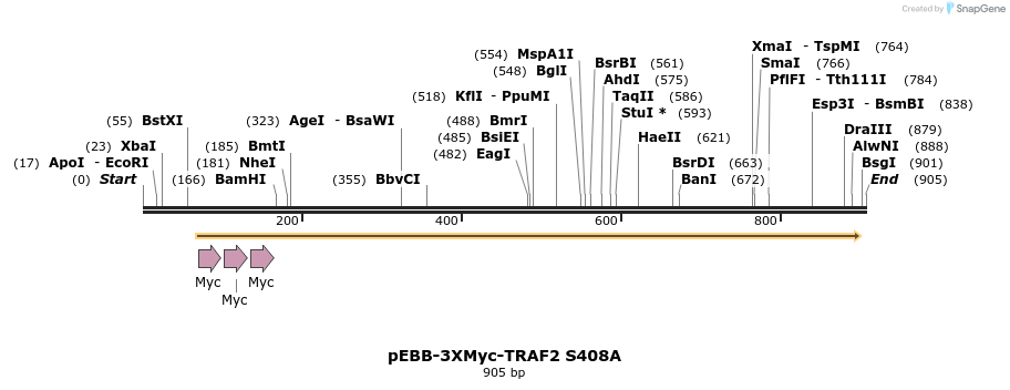 63486_map