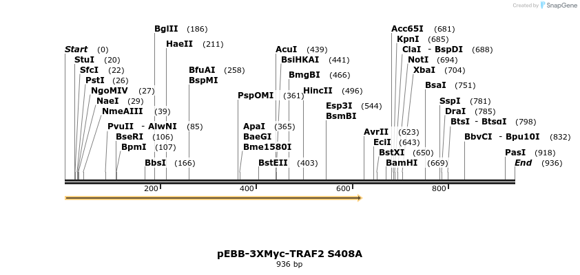 63491_map
