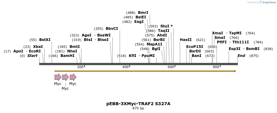 63493_map