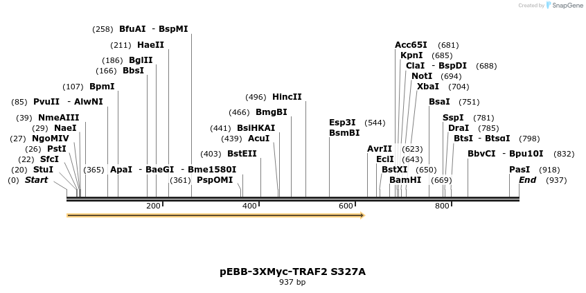 63494_map