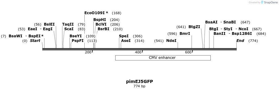 63513_map
