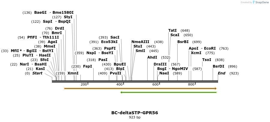 63514_map