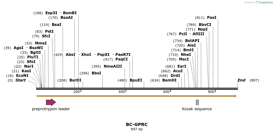 63515_map