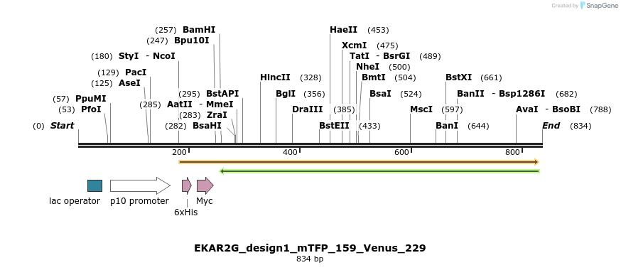 63517_map