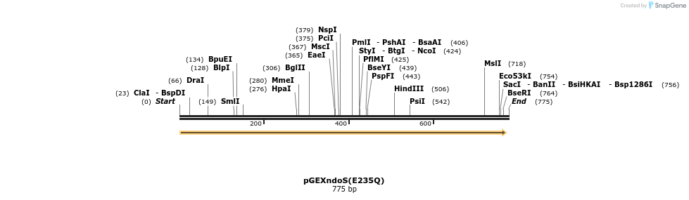 63518_map
