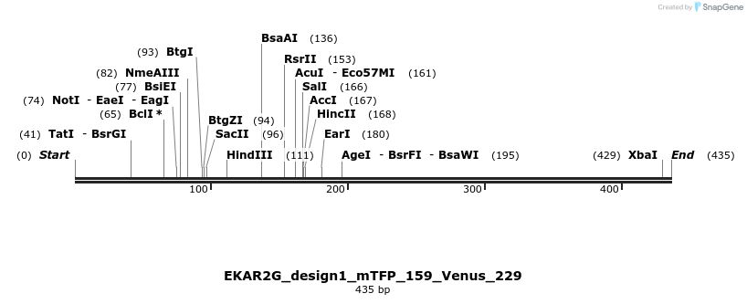63519_map