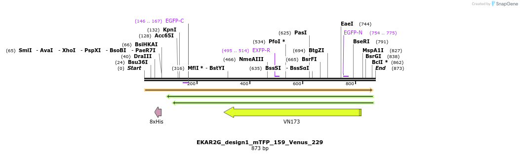 63520_map