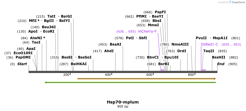 63521_map
