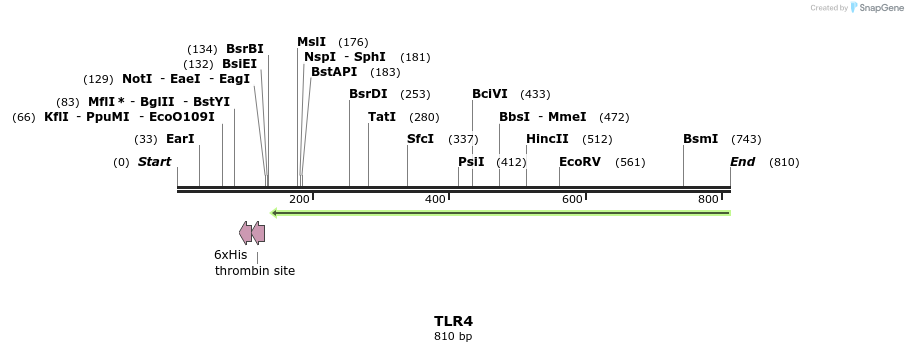 63525_map
