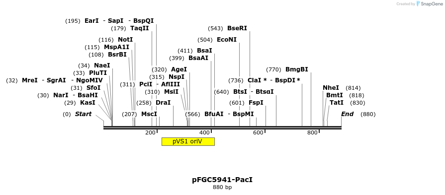 63531_map