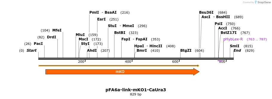 63547_map