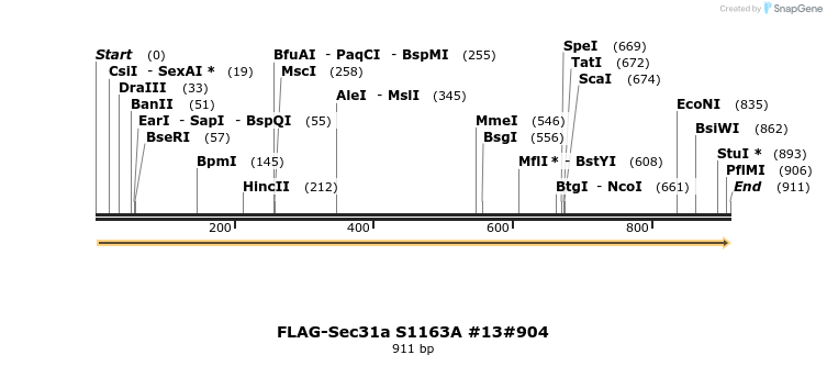 63554_map