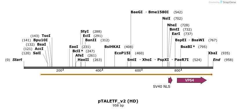 63563_map