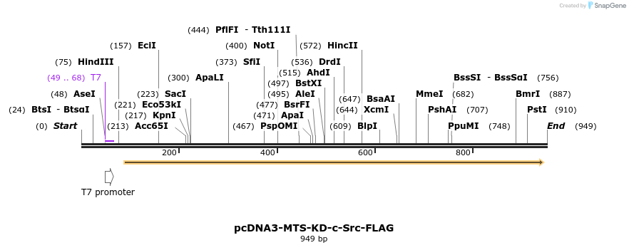 63571_map