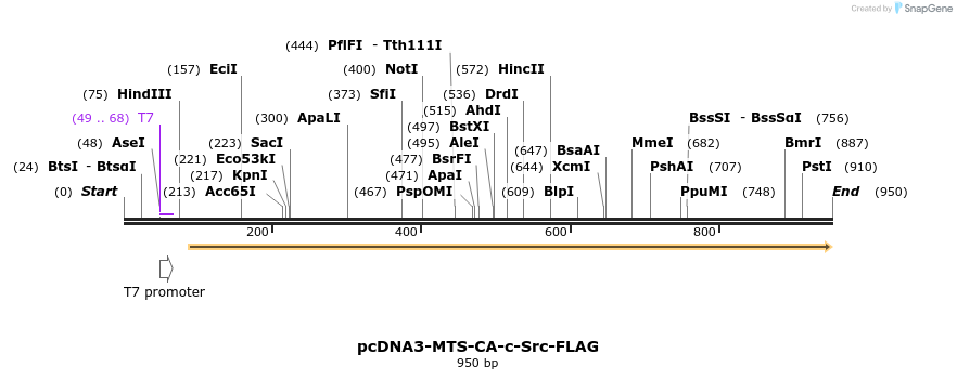63576_map