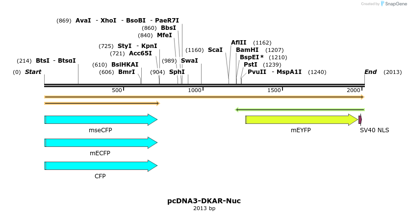 63580_map