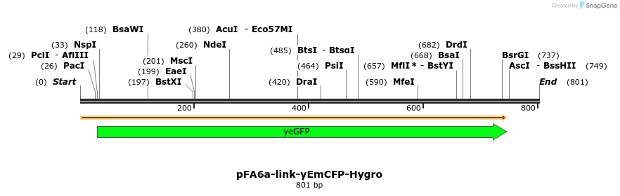 63581_map