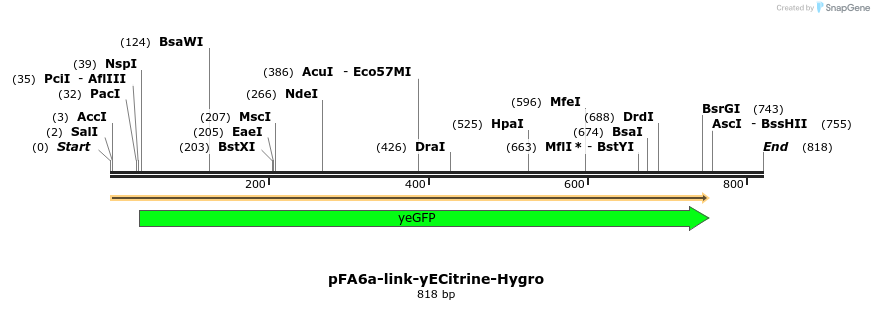 63583_map