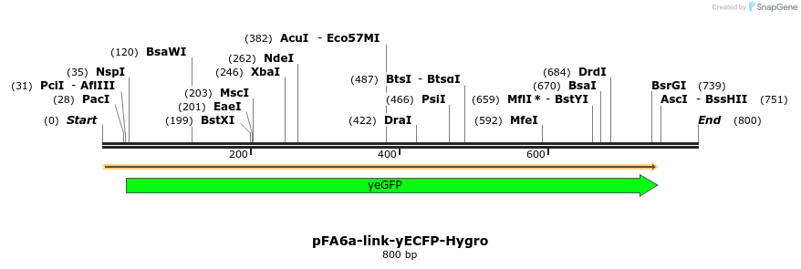 63584_map
