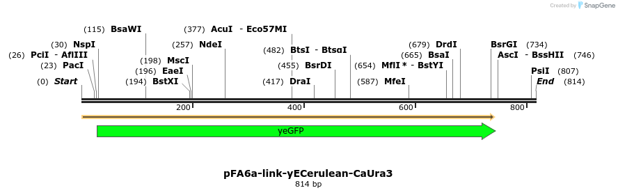 63585_map