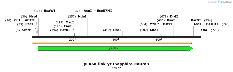 63587_map