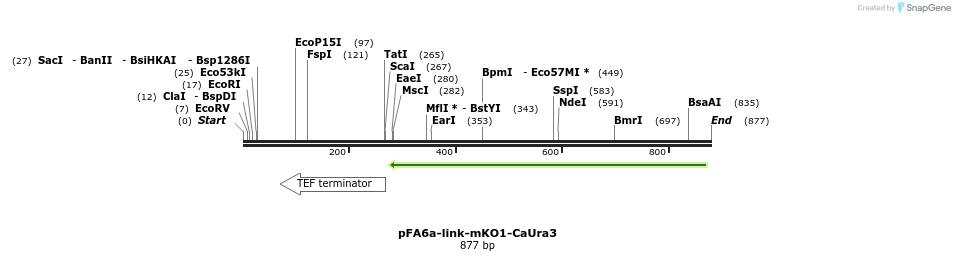 63588_map
