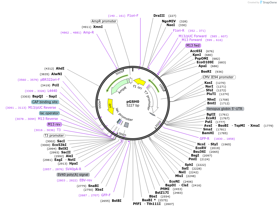 63590_map